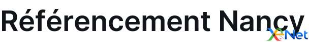 Référencement Nancy